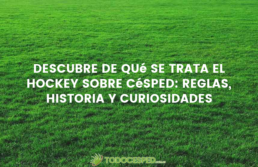 Descubre de qué se trata el hockey sobre césped: reglas, historia y curiosidades