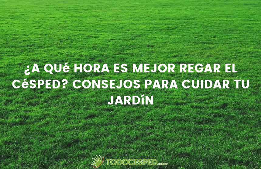 ¿A qué hora es mejor regar el césped? Consejos para cuidar tu jardín