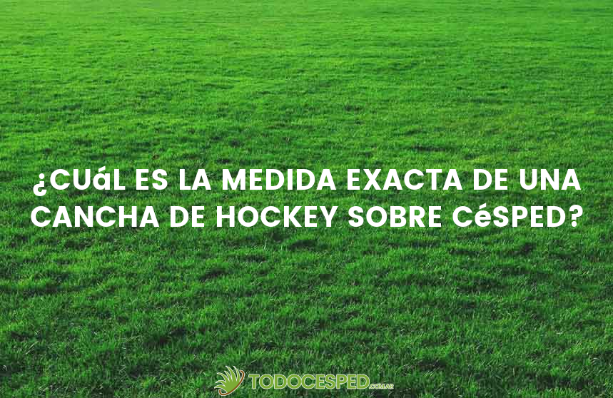 ¿Cuál es la medida exacta de una cancha de hockey sobre césped?