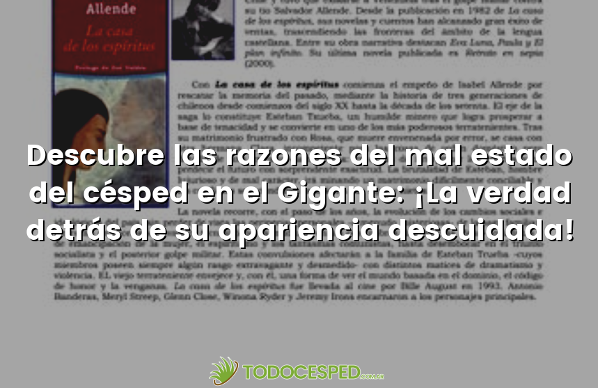 Descubre las razones del mal estado del césped en el Gigante: ¡La verdad detrás de su apariencia descuidada!