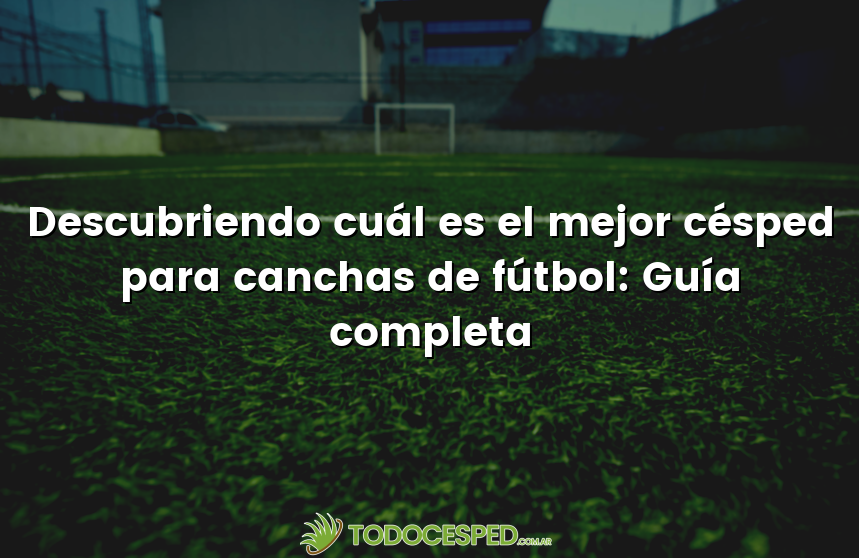 Descubriendo cuál es el mejor césped para canchas de fútbol: Guía completa
