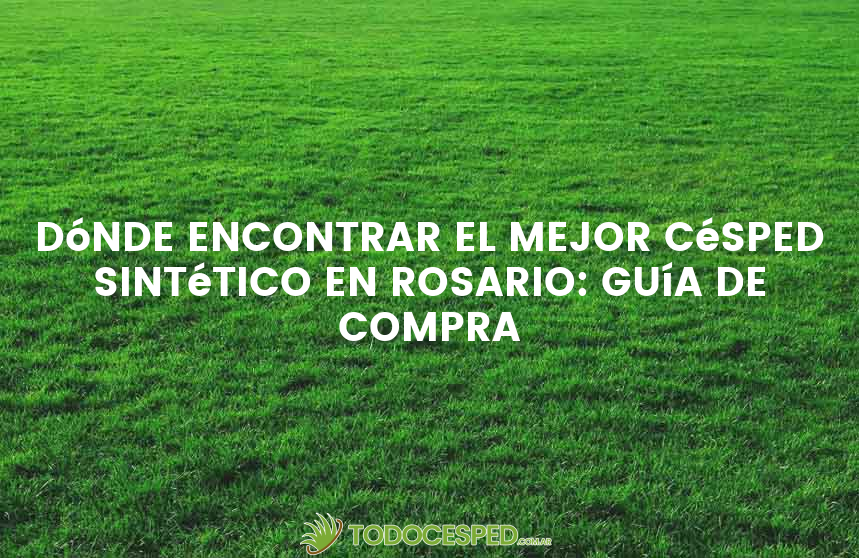 Dónde encontrar el mejor césped sintético en Rosario: guía de compra