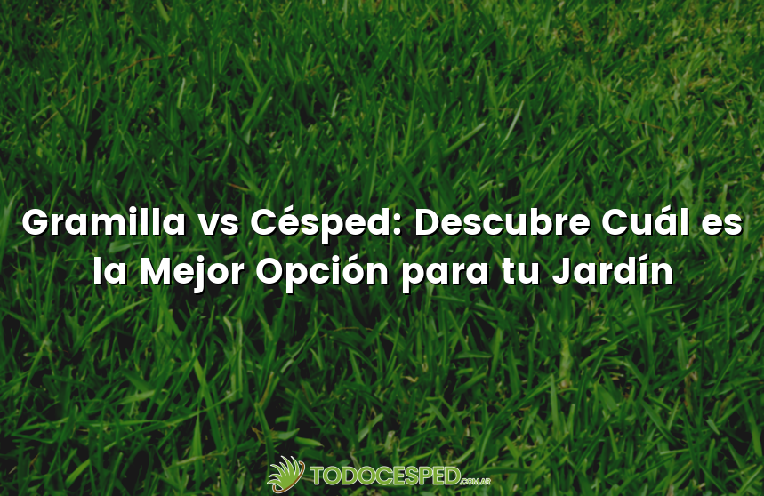 Gramilla vs Césped: Descubre Cuál es la Mejor Opción para tu Jardín
