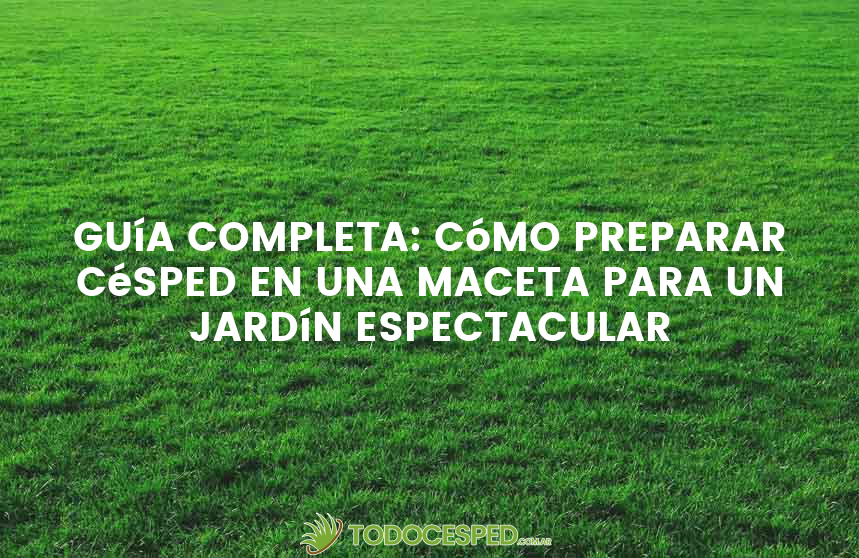 Guía completa: Cómo preparar césped en una maceta para un jardín espectacular