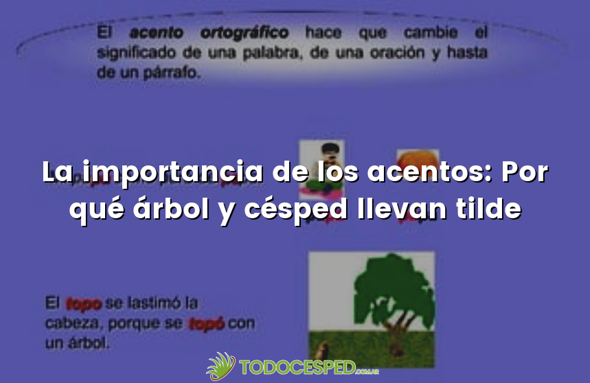 La importancia de los acentos: Por qué árbol y césped llevan tilde