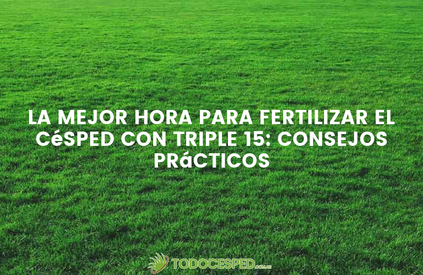 La mejor hora para fertilizar el césped con triple 15: consejos prácticos
