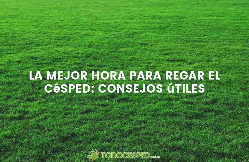 La mejor hora para regar el césped: consejos útiles