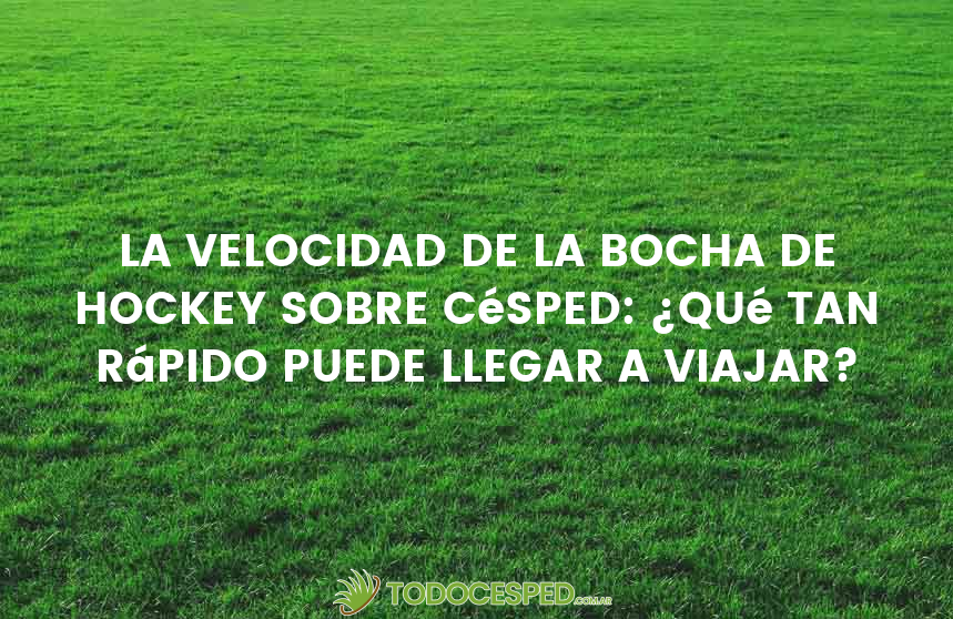 La velocidad de la bocha de hockey sobre césped: ¿Qué tan rápido puede llegar a viajar?