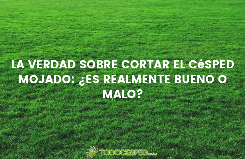 La verdad sobre cortar el césped mojado: ¿Es realmente bueno o malo?