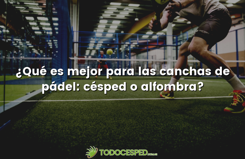 ¿Qué es mejor para las canchas de pádel: césped o alfombra?